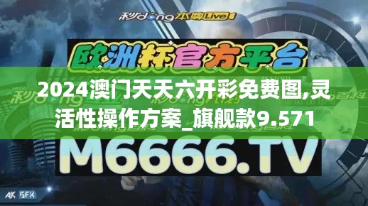 2024澳门天天六开彩免费图,灵活性操作方案_旗舰款9.571
