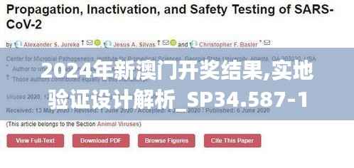 2024年新澳门开奖结果,实地验证设计解析_SP34.587-1