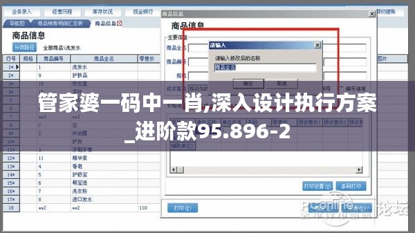 管家婆一码中一肖,深入设计执行方案_进阶款95.896-2