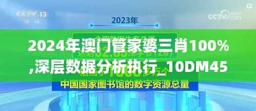 2024年澳门管家婆三肖100%,深层数据分析执行_10DM45.561-6
