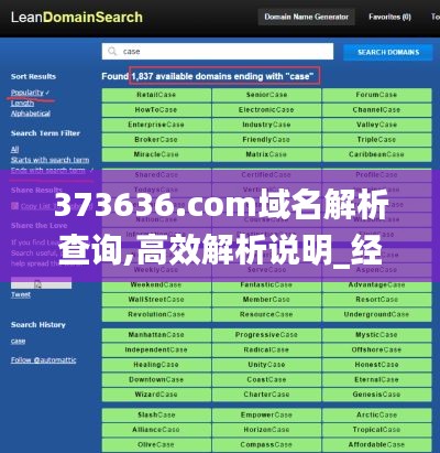 373636.com域名解析查询,高效解析说明_经典款5.483
