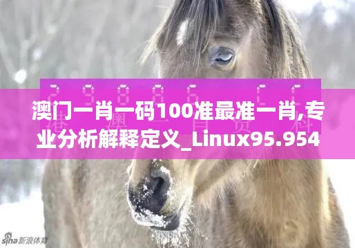 澳门一肖一码100准最准一肖,专业分析解释定义_Linux95.954-7