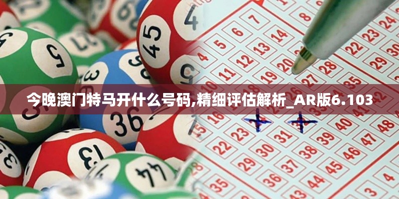 今晚澳门特马开什么号码,精细评估解析_AR版6.103