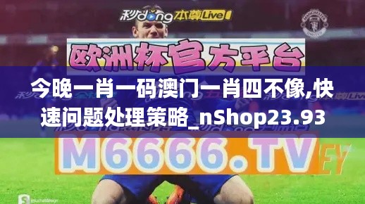 今晚一肖一码澳门一肖四不像,快速问题处理策略_nShop23.931-9
