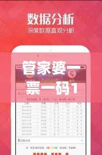 管家婆一票一码100正确济南,稳定计划评估_9DM16.691-2