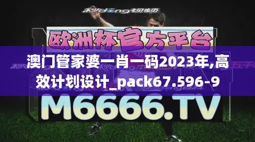 澳门管家婆一肖一码2023年,高效计划设计_pack67.596-9