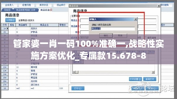 管家婆一肖一码100%准确一,战略性实施方案优化_专属款15.678-8
