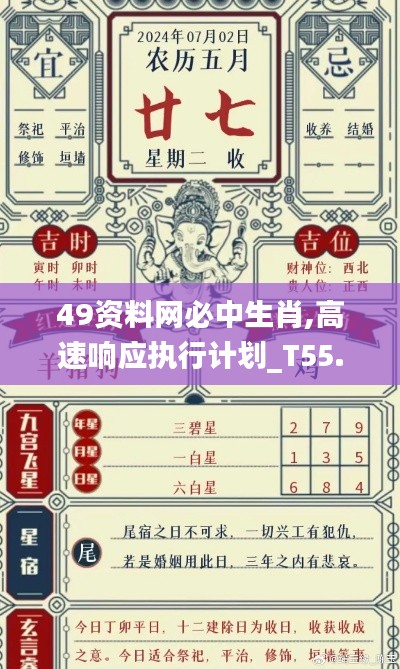 49资料网必中生肖,高速响应执行计划_T55.577-5