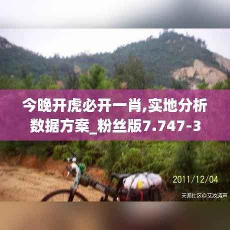 今晚开虎必开一肖,实地分析数据方案_粉丝版7.747-3