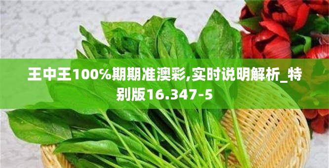 王中王100℅期期准澳彩,实时说明解析_特别版16.347-5