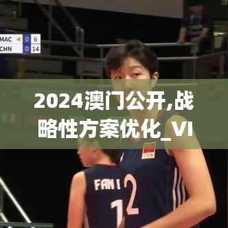 2024澳门公开,战略性方案优化_VIP66.673-2