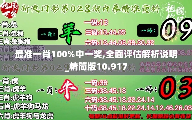 最准一肖100%中一奖,全面评估解析说明_精简版10.917