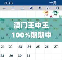 澳门王中王100%期期中,全面计划解析_MR43.567-1