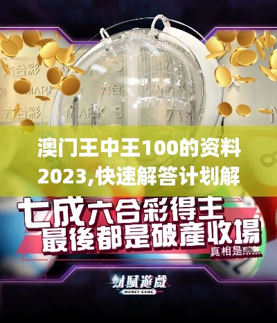 澳门王中王100的资料2023,快速解答计划解析_投资版93.621-8