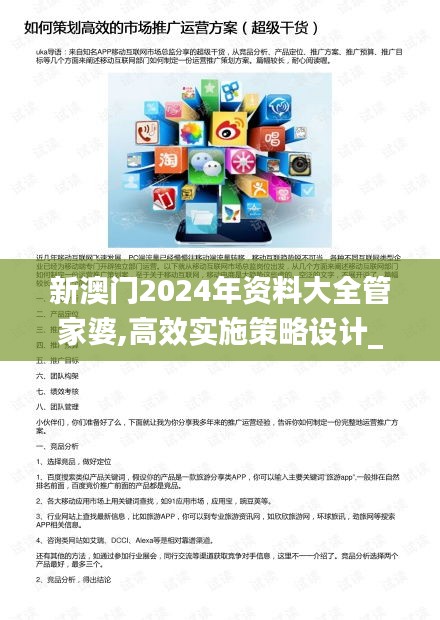 新澳门2024年资料大全管家婆,高效实施策略设计_游戏版4.313