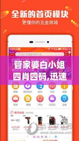 管家婆白小姐四肖四码,迅速执行设计方案_网红版53.211-8