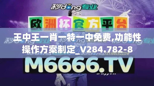 王中王一肖一特一中免费,功能性操作方案制定_V284.782-8