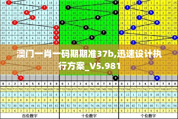 澳门一肖一码期期准37b,迅速设计执行方案_V5.981