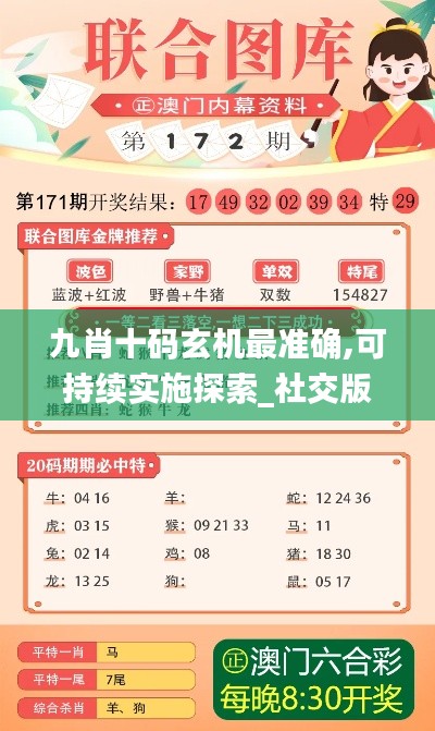 九肖十码玄机最准确,可持续实施探索_社交版4.665