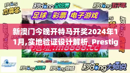 新澳门今晚开特马开奖2024年11月,实地验证设计解析_Prestige1.335