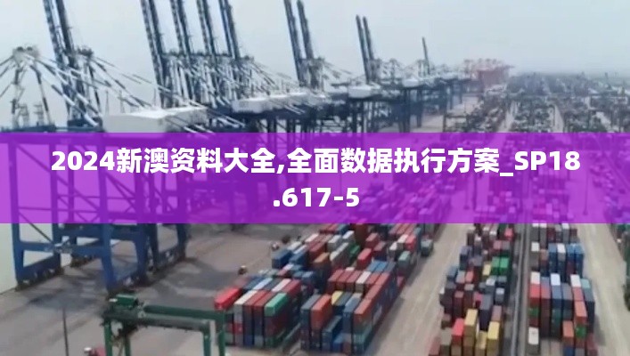 2024新澳资料大全,全面数据执行方案_SP18.617-5