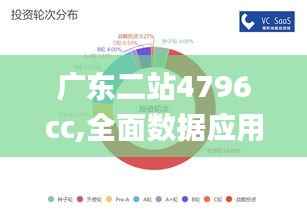 广东二站4796cc,全面数据应用分析_高级款38.946-4