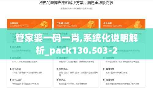 管家婆一码一肖,系统化说明解析_pack130.503-2