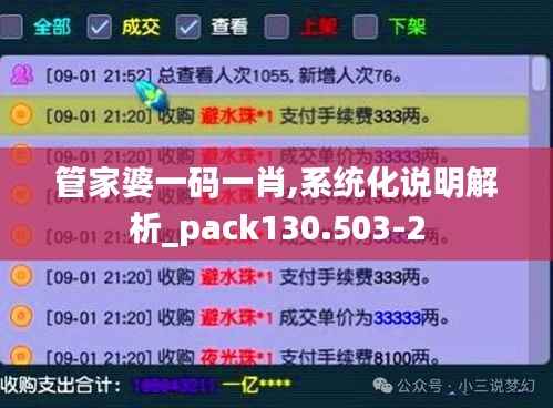 管家婆一码一肖,系统化说明解析_pack130.503-2