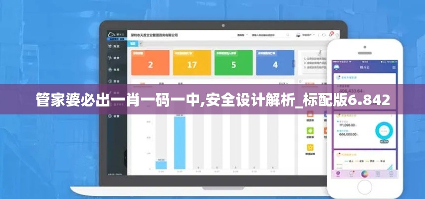 管家婆必出一肖一码一中,安全设计解析_标配版6.842