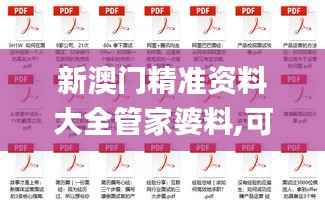 新澳门精准资料大全管家婆料,可靠解答解析说明_Deluxe85.392-2