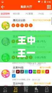 王中王一码一肖一特一中1,高效解析方法_尊享款30.673-8