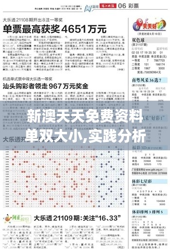 新澳天天免费资料单双大小,实践分析解释定义_户外版162.842-8