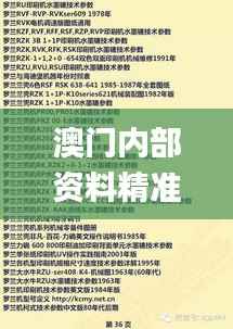 澳门内部资料精准公开,权威评估解析_专属款120.474-2