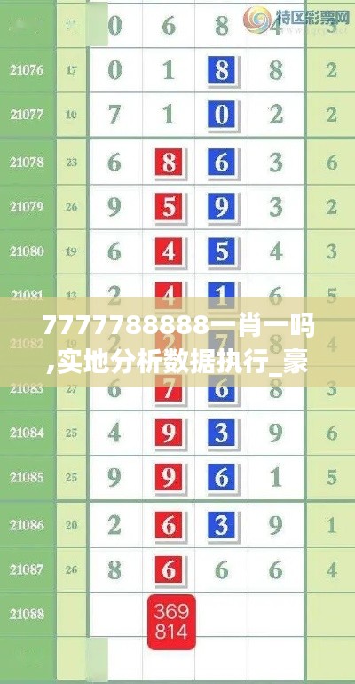 7777788888一肖一吗,实地分析数据执行_豪华款18.695-7