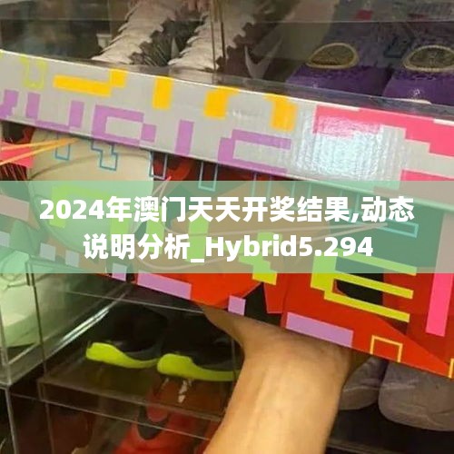 2024年澳门天天开奖结果,动态说明分析_Hybrid5.294