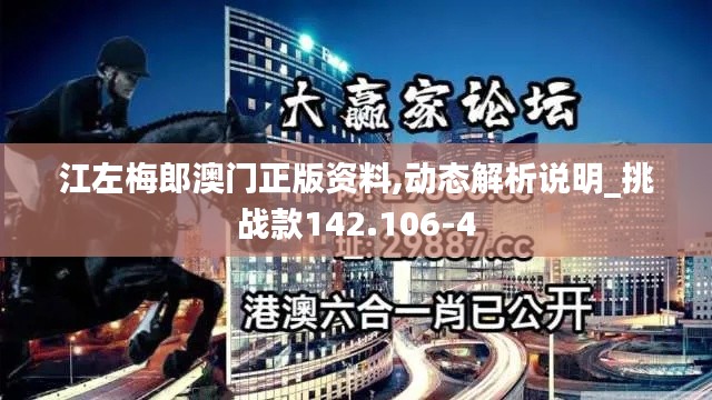 江左梅郎澳门正版资料,动态解析说明_挑战款142.106-4