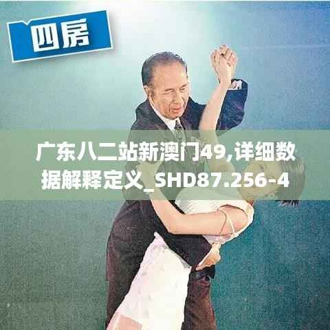 广东八二站新澳门49,详细数据解释定义_SHD87.256-4