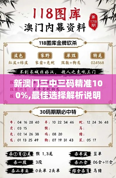 新澳门三中三码精准100%,最佳选择解析说明_桌面版76.982-6
