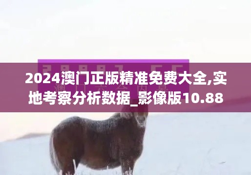 2024澳门正版精准免费大全,实地考察分析数据_影像版10.880