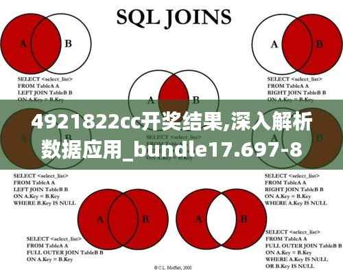 4921822cc开奖结果,深入解析数据应用_bundle17.697-8