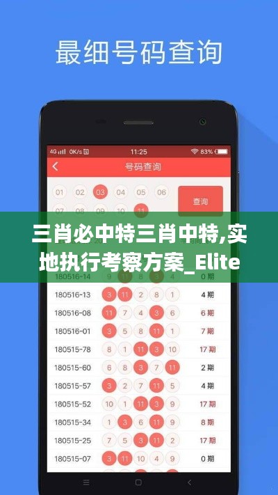 三肖必中特三肖中特,实地执行考察方案_Elite5.634-9