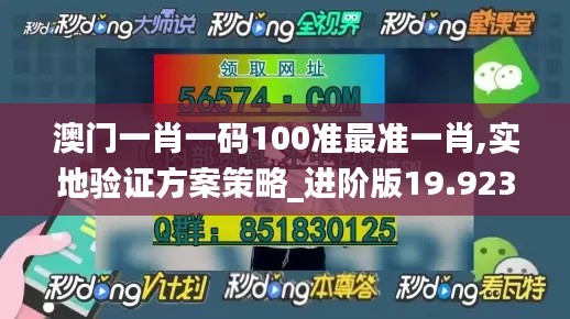 澳门一肖一码100准最准一肖,实地验证方案策略_进阶版19.923-1