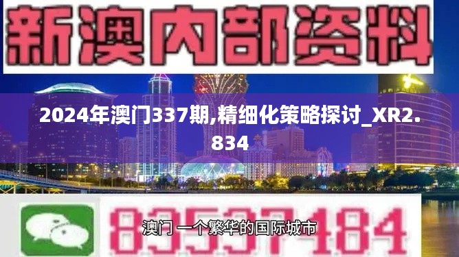 2024年澳门337期,精细化策略探讨_XR2.834