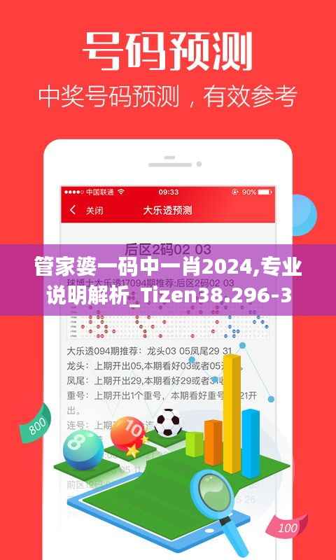 管家婆一码中一肖2024,专业说明解析_Tizen38.296-3