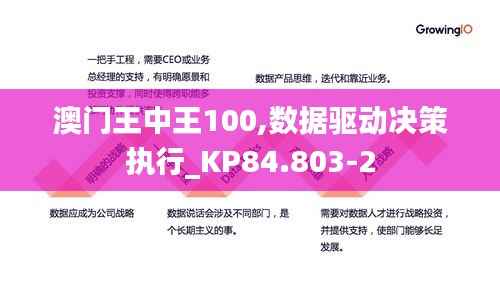 澳门王中王100,数据驱动决策执行_KP84.803-2