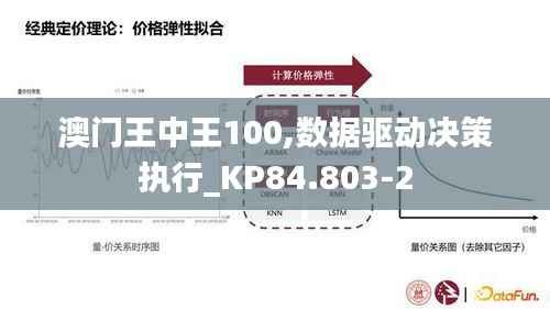 澳门王中王100,数据驱动决策执行_KP84.803-2