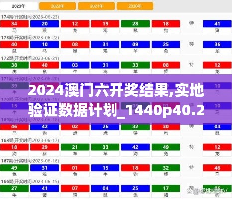 2024澳门六开奖结果,实地验证数据计划_1440p40.295-9