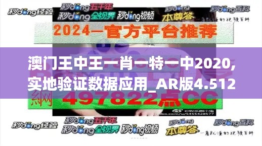 澳门王中王一肖一特一中2020,实地验证数据应用_AR版4.512