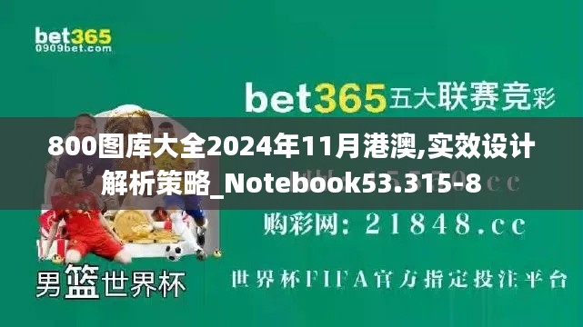 800图库大全2024年11月港澳,实效设计解析策略_Notebook53.315-8