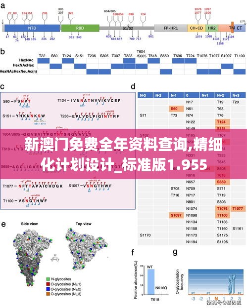 新澳门免费全年资料查询,精细化计划设计_标准版1.955